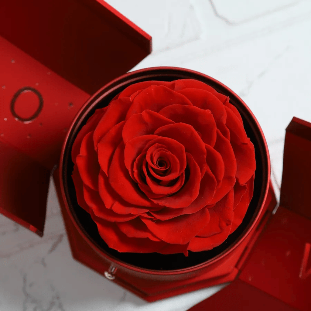 Caja Rosa Eterna con Collar Personalizado